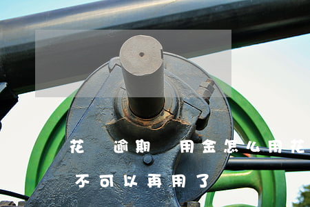 花唄逾期備用金怎么用(花唄逾期兩天備用金不可以再用了嗎)