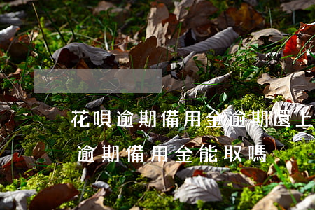 花唄逾期,備用金逾期,還上備用金能使用?(花唄逾期備用金能取嗎) 花唄逾期,備用金逾期,還上備用金能使用?(花唄逾期備用金能取嗎)