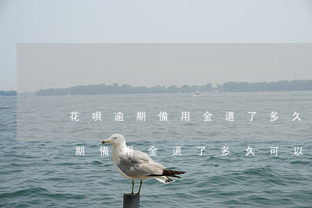 花唄逾期備用金還了多久可以再借-花唄逾期備用金還了多久可以再借出來(lái)