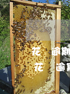 花唄逾期催收打電話給家人是怎么處理的-花唄逾期催收打電話給家人是怎么處理的呢