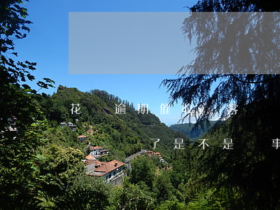 花唄逾期催收會客氣嗎(花唄逾期催收電話過來錢還了是不是沒事了)