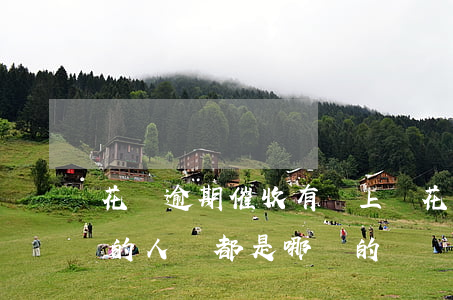 花唄逾期催收有權上門(花唄逾期后上門催收的人員都是哪兒的)