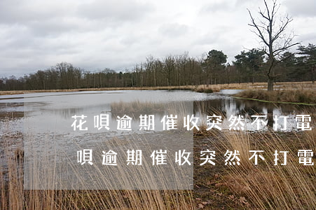 花唄逾期催收突然不打電話是怎么回事-花唄逾期催收突然不打電話是怎么回事兒