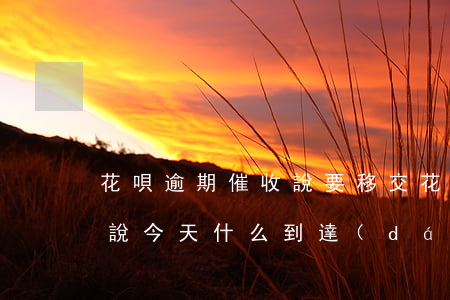 花唄逾期催收說要移交(花唄逾期打電話催款說今天什么到達(dá)戶籍地)
