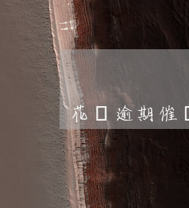 花唄逾期催賬記錄圖片