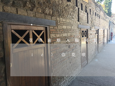 花唄逾期入職阿里巴巴(如果入職要凍結(jié)你花唄)