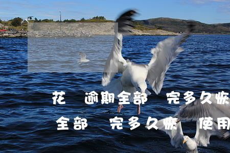 花唄逾期全部還完多久恢復使用-花唄逾期全部還完多久恢復使用額度