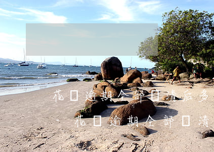 花唄逾期全部還清后多久可以恢復(fù)-花唄逾期全部還清后多久可以恢復(fù)使用