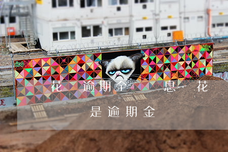 花唄逾期全額計息嗎(花唄逾期利息是按總金額還是逾期金額)