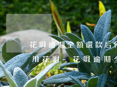 花唄逾期全額還款后何時(shí)才能使用花唄-花唄逾期全額還款后何時(shí)才能使用花唄付款