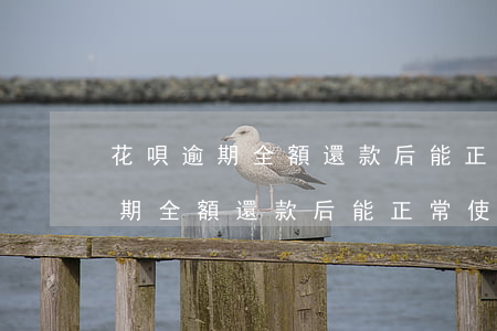 花唄逾期全額還款后能正常使用嗎-花唄逾期全額還款后能正常使用嗎安全嗎
