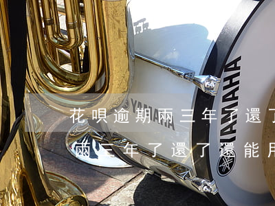 花唄逾期兩三年了還了還能用嗎-花唄逾期兩三年了還了還能用嗎怎么辦