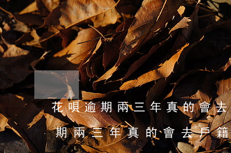 花唄逾期兩三年真的會去戶籍地嗎-花唄逾期兩三年真的會去戶籍地嗎知乎