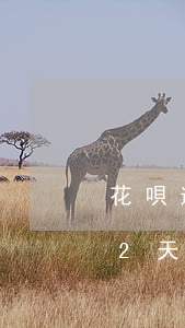 花唄逾期兩個(gè)月之后還款(花唄逾期2天還了之后還了影響征信嗎)
