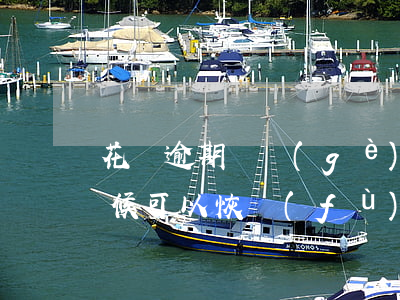 花唄逾期兩個(gè)月什么時(shí)候可以恢復(fù)-花唄逾期兩個(gè)月什么時(shí)候可以恢復(fù)正常