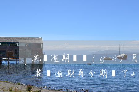 花唄逾期兩個(gè)月分期手機(jī)(花唄逾期再分期還了2個(gè)月了為什么打電話說無效)