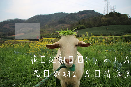 花唄逾期兩個(gè)月多久回復(fù)(花唄逾期2月,還清后多久才能使用呢)