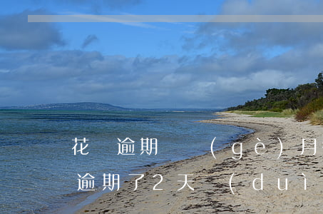 花唄逾期兩個(gè)月征信嗎(花唄不小心逾期了2天,對(duì)征信有影響嗎)