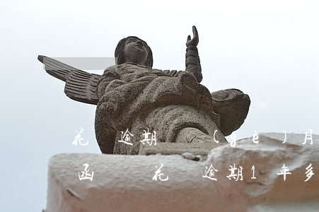 花唄逾期兩個(gè)月要發(fā)律師函(螞蟻花唄逾期1年多少他們說(shuō)要發(fā)律師函給我)