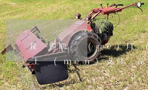 花唄逾期兩個(gè)月說(shuō)是上門(mén)(支付寶花唄逾期說(shuō)上門(mén)核實(shí))