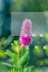 花唄逾期兩個(gè)月還清后多久能用-花唄逾期兩個(gè)月還清后多久能用