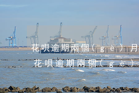 花唄逾期兩個(gè)月還清后有影響嗎-花唄逾期兩個(gè)月還清后有影響嗎怎么辦