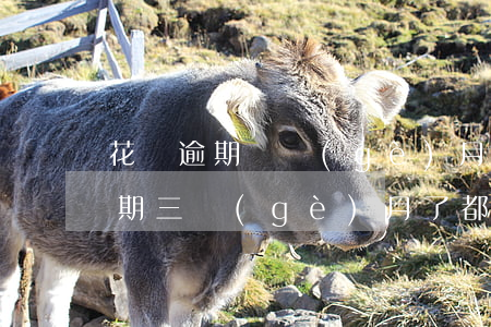 花唄逾期兩個(gè)月還能開通嗎(花唄逾期三個(gè)月了,都兩個(gè)月了,都開通不了)