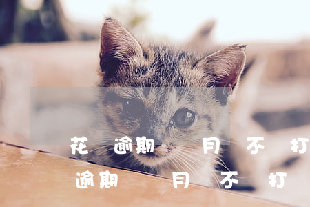 花唄逾期兩個月會不會打電話給家人-花唄逾期兩個月會不會打電話給家人呢