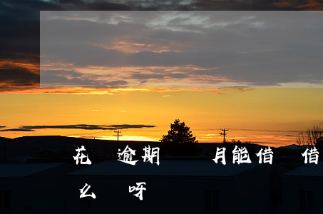 花唄逾期兩個月能借嗎(借唄逾期兩個月了怎么辦呀)