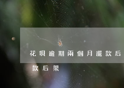 花唄逾期兩個月還款后果(花唄逾期兩個月還款后果)