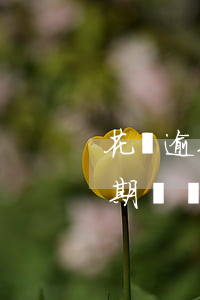 花唄逾期兩個月還清了多久能恢復-花唄逾期兩個月還清了多久能恢復使用資格