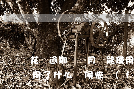 花唄逾期兩個月還能使用(花唄逾期兩次不能用了什么時候恢復(fù)可以用)