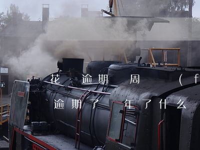 花唄逾期兩周會發(fā)生什么(因為花唄逾期了兩年了什么時候可以)