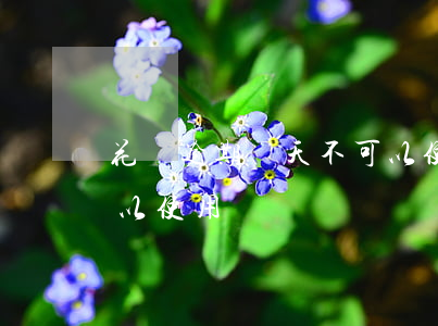 花唄逾期兩天不可以使用(花唄逾期兩天不可以使用)