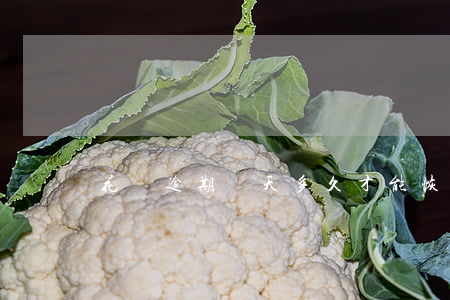 花唄逾期兩天多久才能恢復使用-