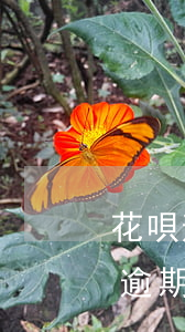 花唄逾期兩天會有什么后果?有獎問答-花唄逾期兩天會有什么后果?,有獎問答