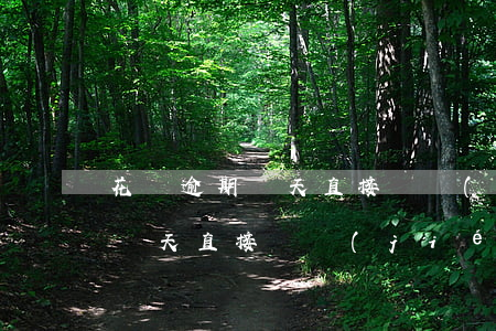 花唄逾期兩天直接凍結(jié)（花唄逾期兩天直接凍結(jié)）