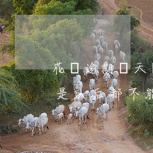 花唄逾期兩天還可以花嗎(花唄逾期兩天是不是以后都不能用了?)