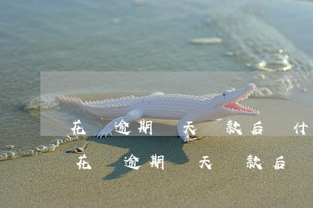 花唄逾期兩天還款后為什么不能正常使用-花唄逾期兩天還款后為什么不能正常使用了