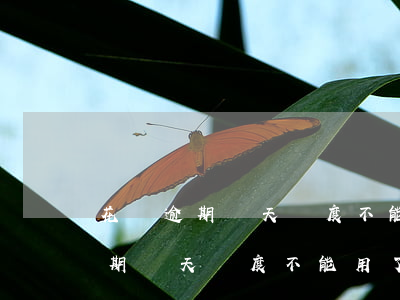 花唄逾期兩天額度不能用了怎么辦-花唄逾期兩天額度不能用了怎么辦呢