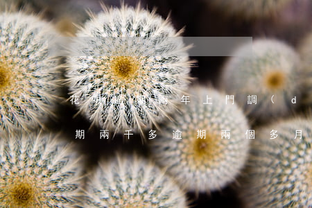 花唄逾期兩年上門調(diào)查(花唄逾期兩千多,逾期兩個多月說走正常程序,上門調(diào)查)