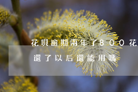 花唄逾期兩年了800(花唄逾期兩年了,如果還了,以后還能用嗎)