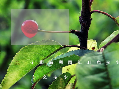 花唄逾期兩年利息多少(支付寶花唄逾期利息怎么多少)