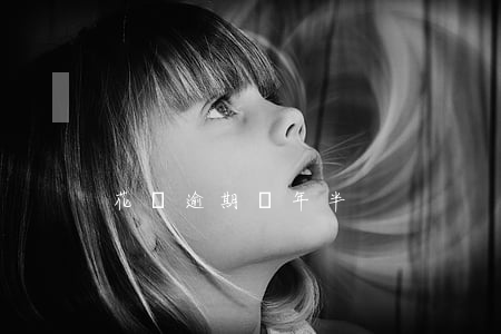花唄逾期兩年半