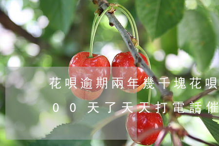 花唄逾期兩年幾千塊(花唄逾期幾千塊 逾期100天了 天天打電話催賬)