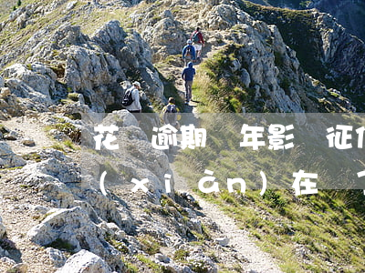 花唄逾期兩年影響征信嗎(花唄逾期了兩天,現(xiàn)在還了,會(huì)影響征信嗎)