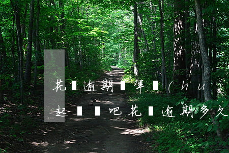 花唄逾期兩年會(huì)不會(huì)起訴貼吧(花唄逾期多久會(huì)被起訴?花唄逾期被起訴)