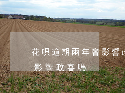 花唄逾期兩年會影響政審嗎 花唄逾期兩年會影響政審嗎