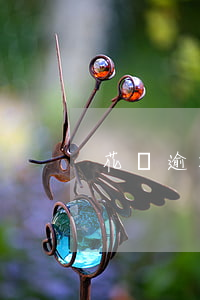 花唄逾期兩年會被限制坐飛機嗎-