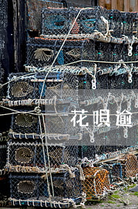 花唄逾期兩年百度吧（花唄逾期兩年說要起訴）